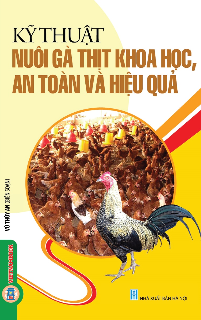 Kỹ thuật nuôi gà thịt khoa học, an toàn và hiệu quả