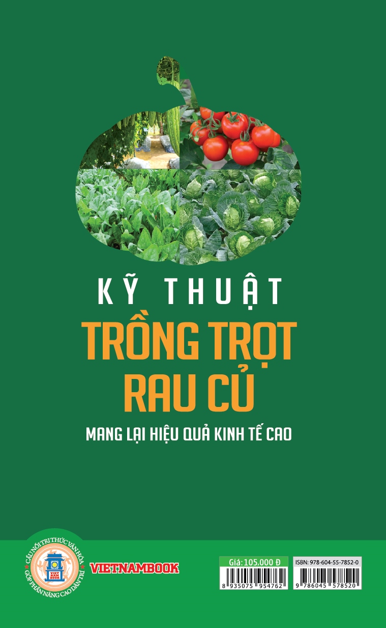 Kỹ Thuật Trồng Trọt Rau Củ Mang Lại Hiệu Quả Kinh Tế Cao 