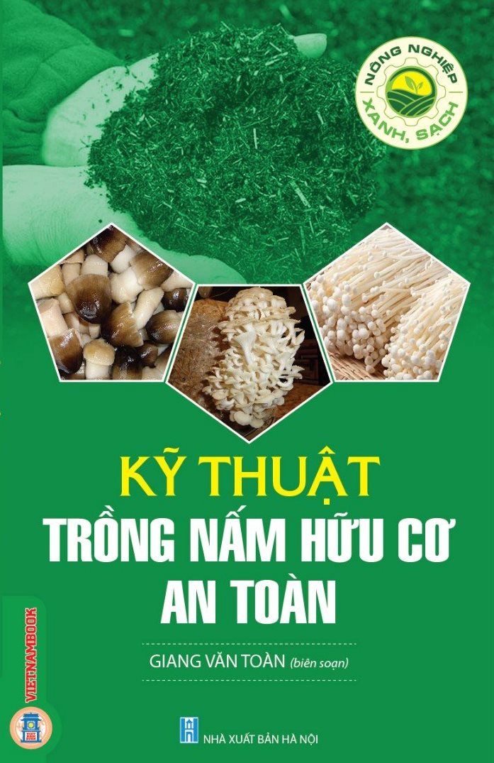 Kỹ Thuật Trồng Nấm Hữu Cơ An Toàn