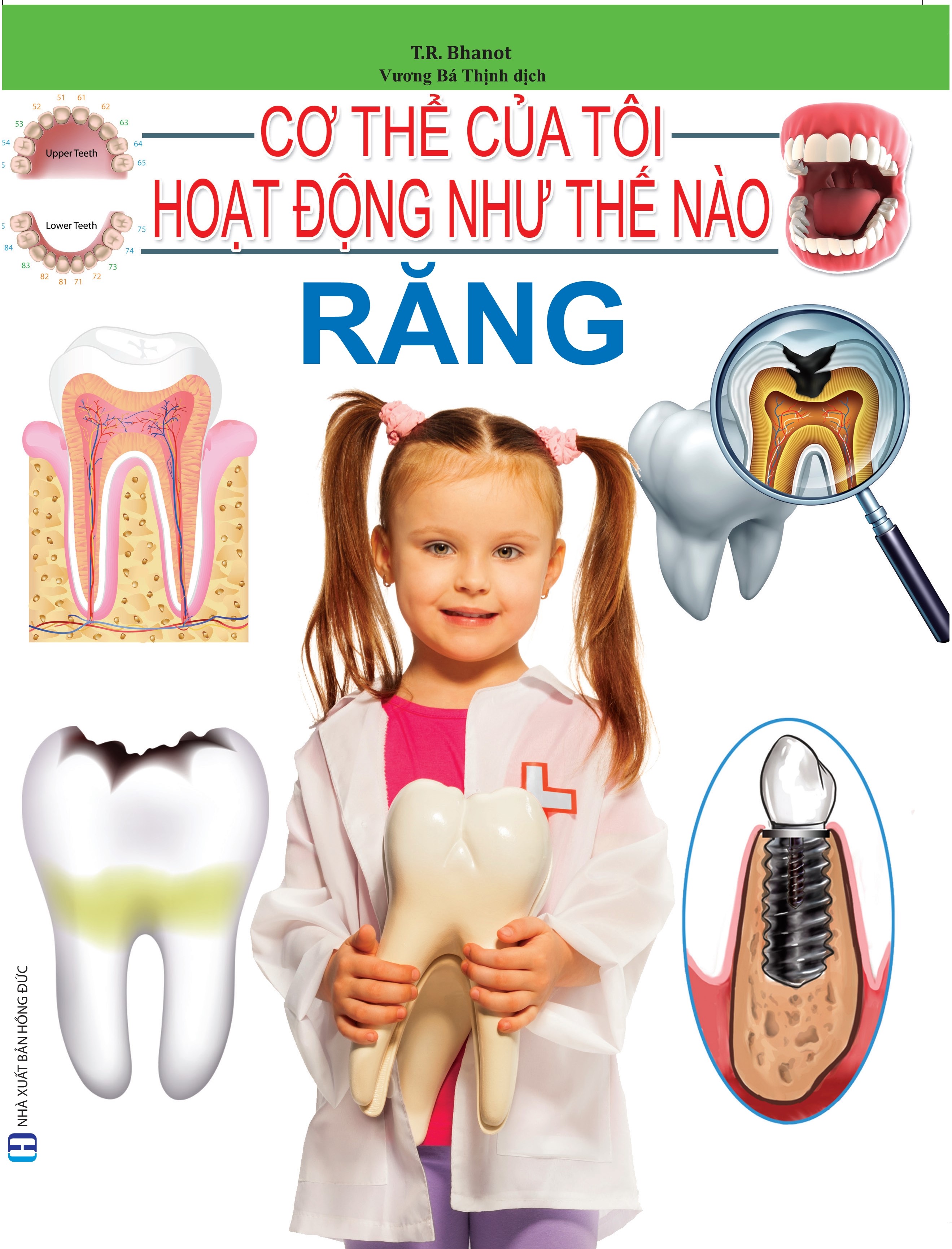 Cơ Thể Của Tôi Hoạt Động Như Thế Nào - Răng