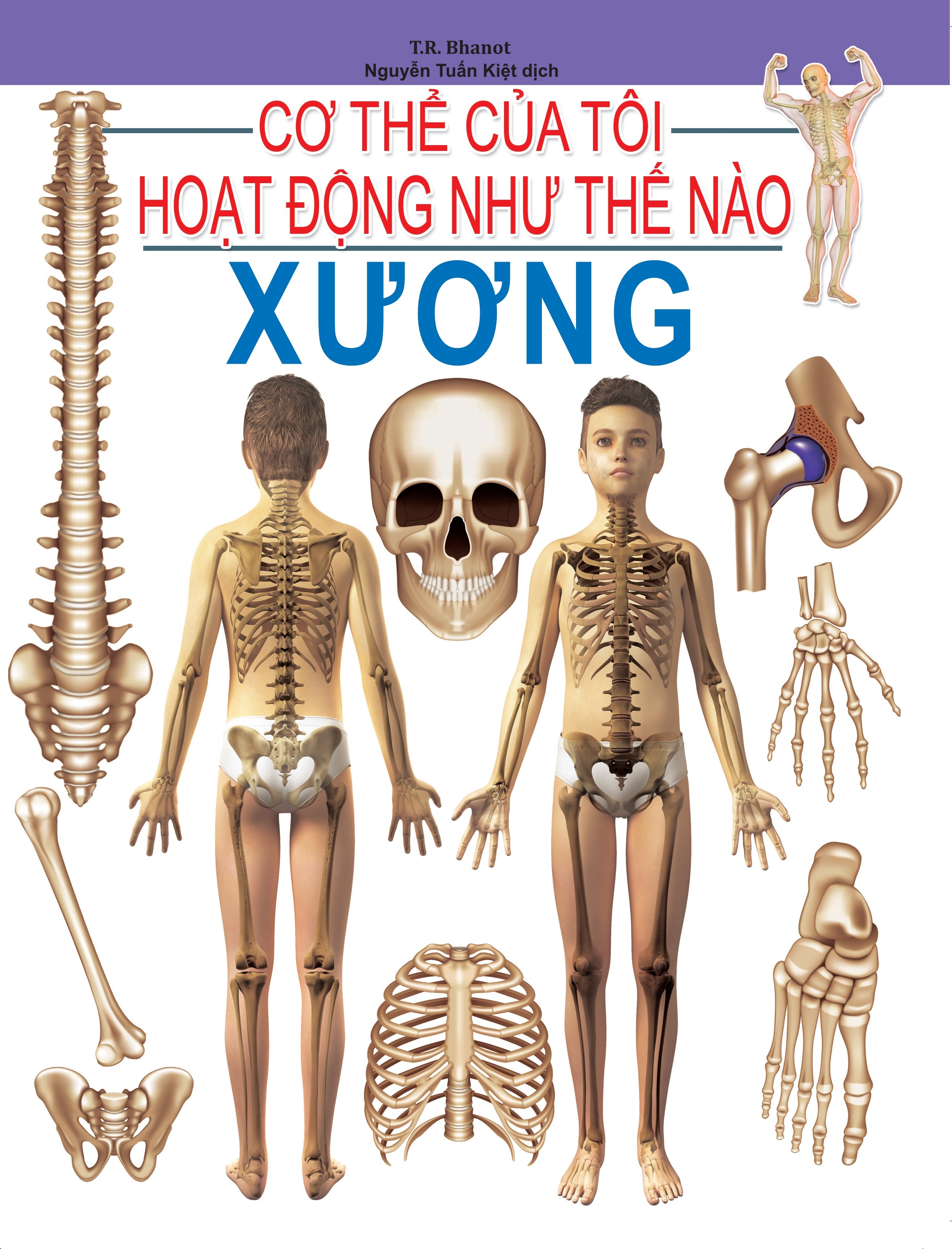 Cơ Thể Của Tôi Hoạt Động Như Thế Nào - Xương