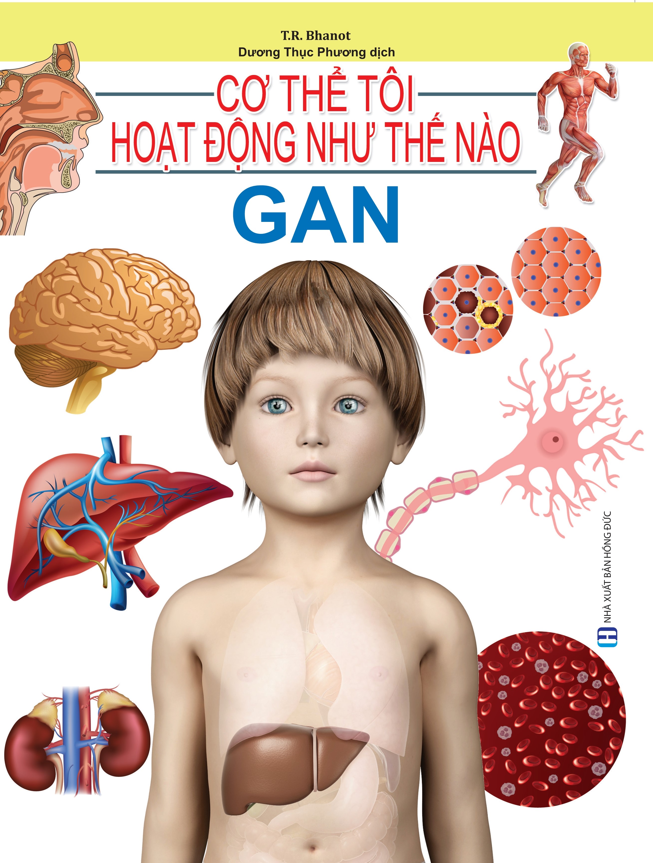 Cơ Thể Của Tôi Hoạt Động Như Thế Nào - Gan