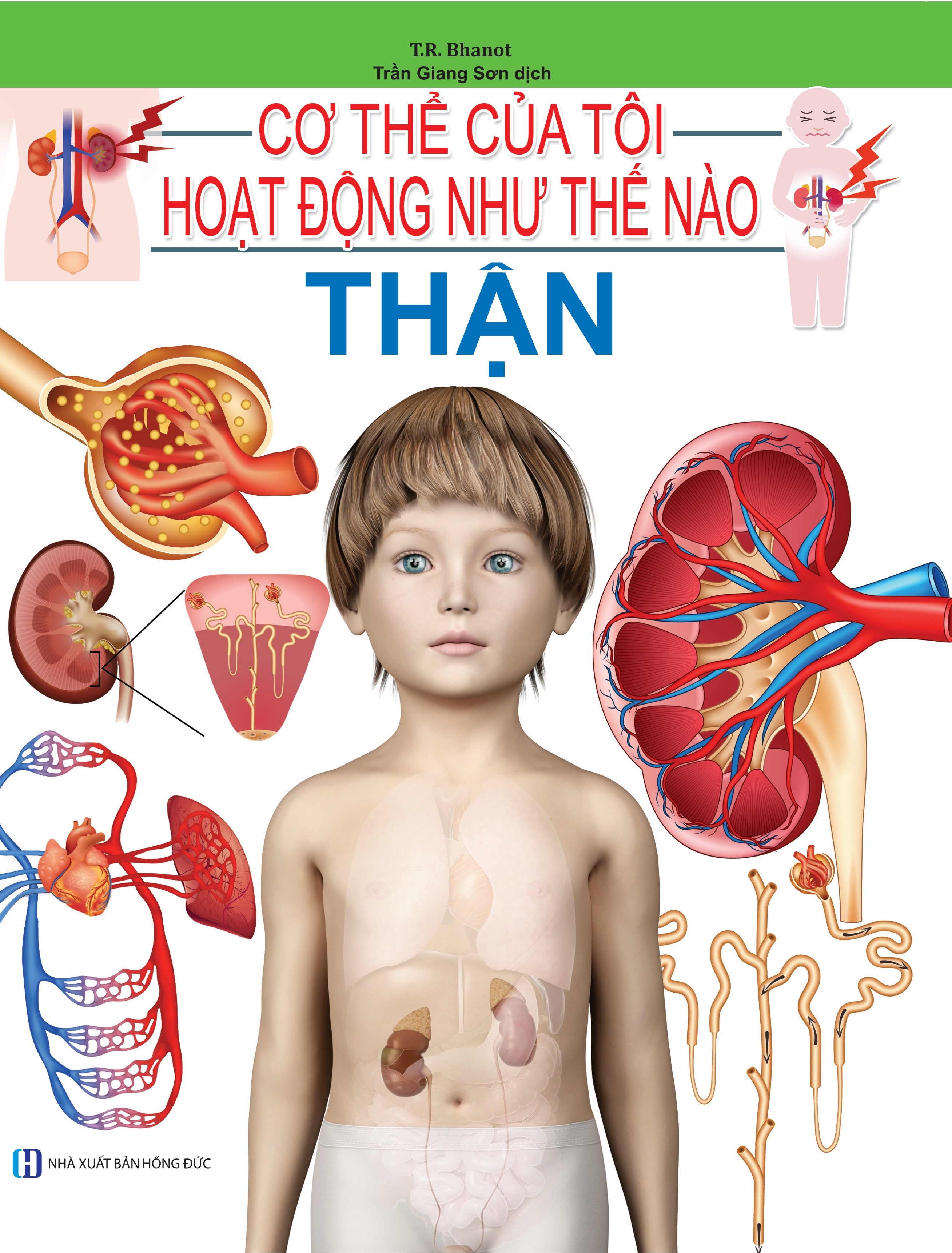 Cơ Thể Của Tôi Hoạt Động Như Thế Nào - Thận